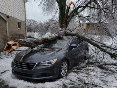 Ice-loaded tree down across a parked car after freezing rain