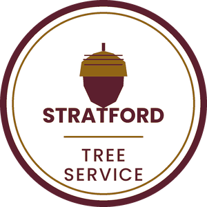 Stratford Tree Service